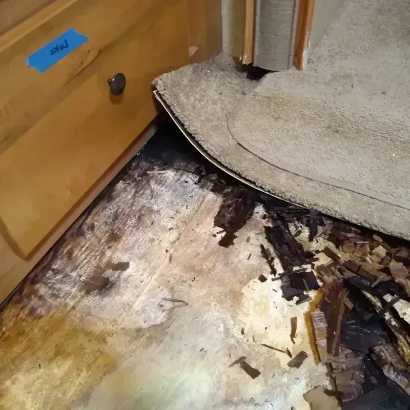 Wood Floor Water Damage in Arial, SC